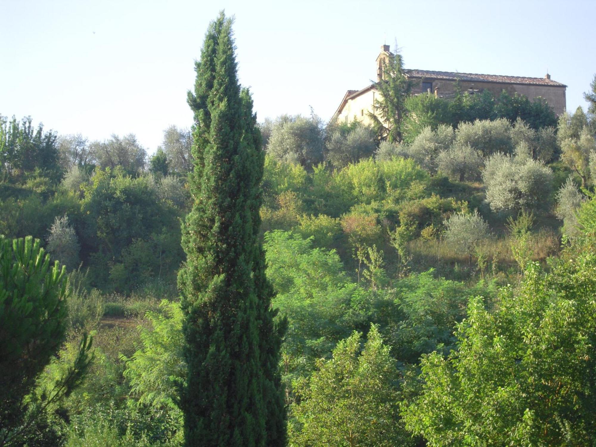 Villa Caprera Siena Quarto foto