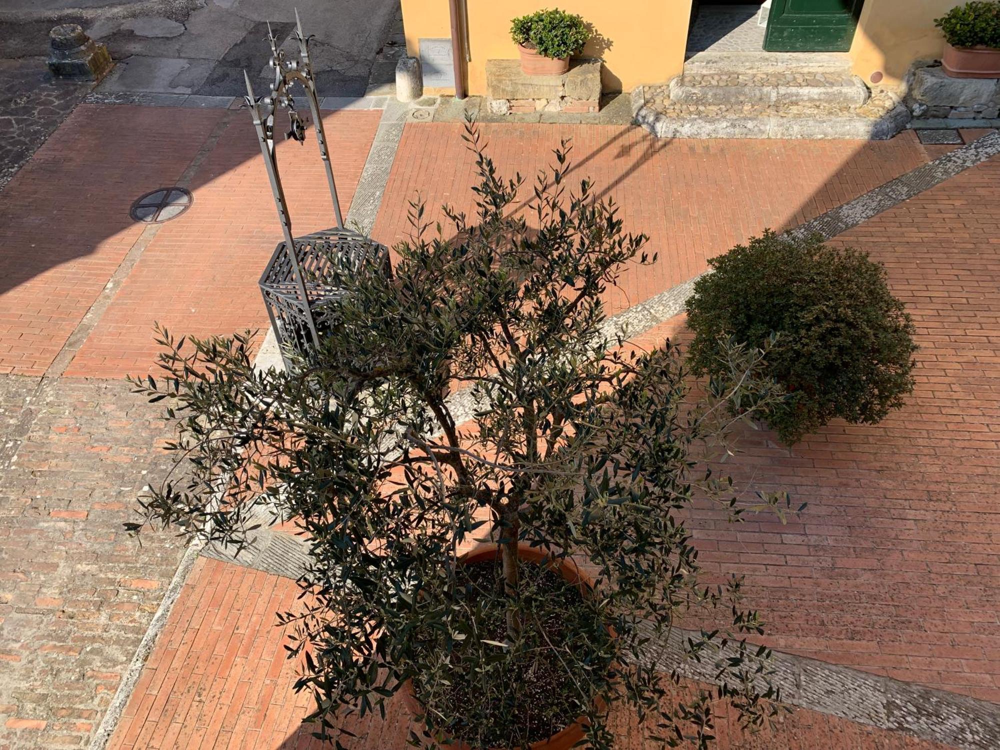 Villa Caprera Siena Quarto foto